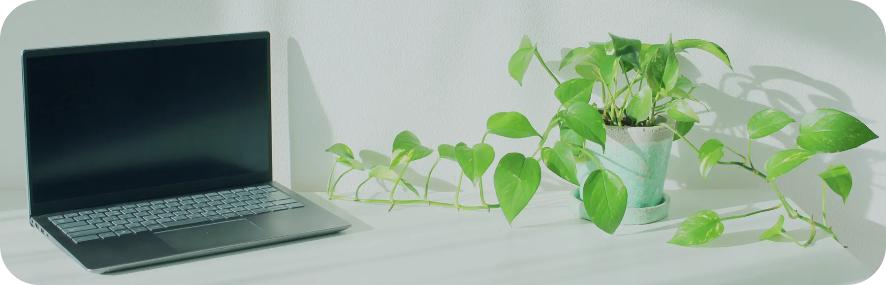 代表メッセージ/理念